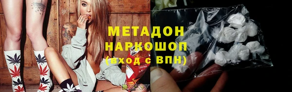 прущие грибы Гусь-Хрустальный
