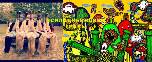 прущие грибы Гусь-Хрустальный