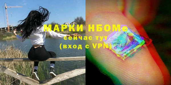 прущие грибы Гусь-Хрустальный