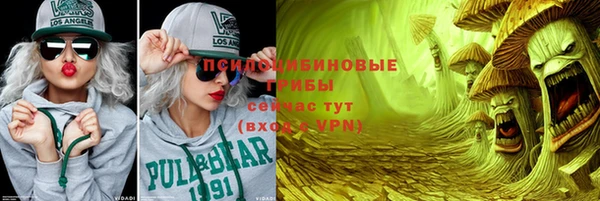 молекула духа Гусев