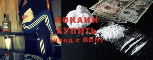 прущие грибы Гусь-Хрустальный