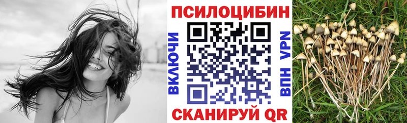 Псилоцибиновые грибы мицелий  Купить где  Ржев 